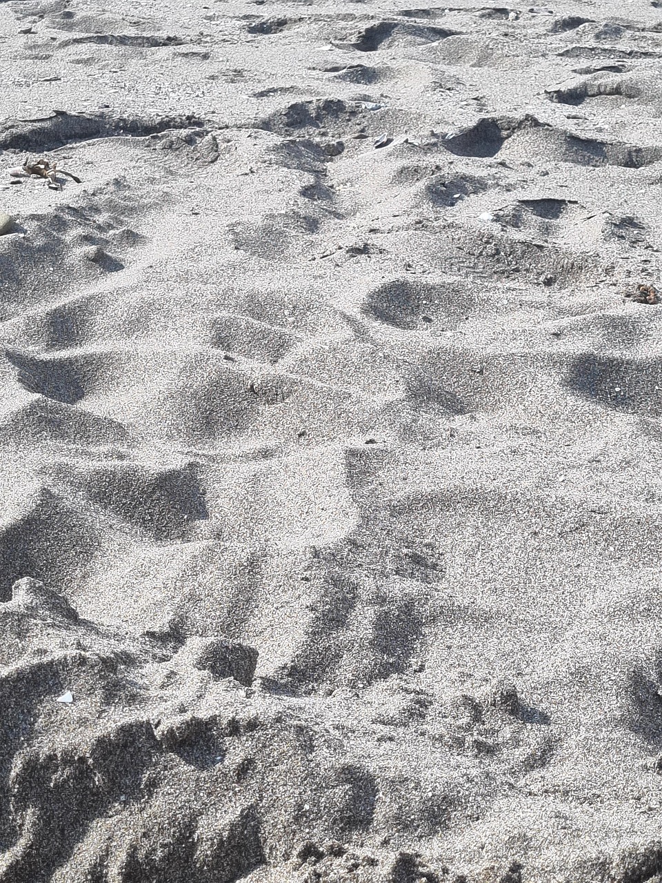 Close-up of Textured Sand Beach Surface