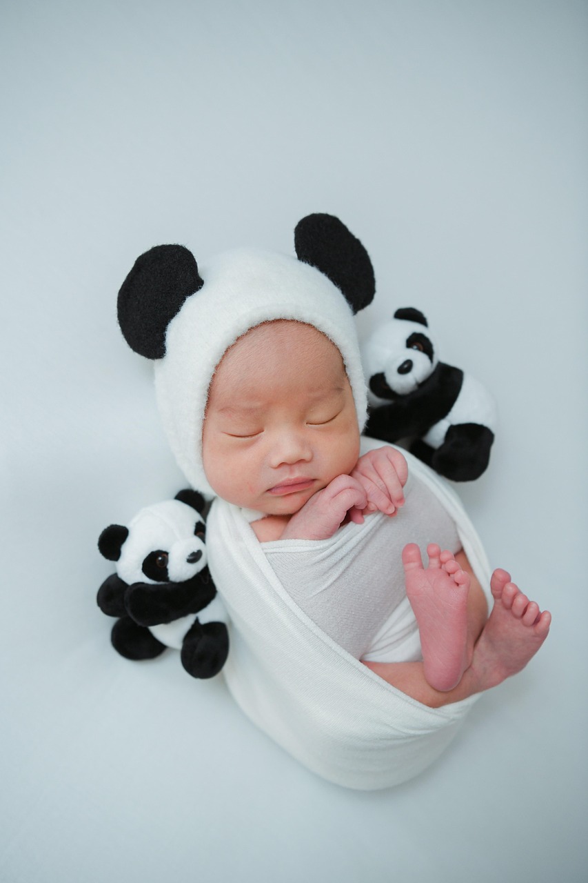 Newborn Baby in Panda Hat with Plush Toys
