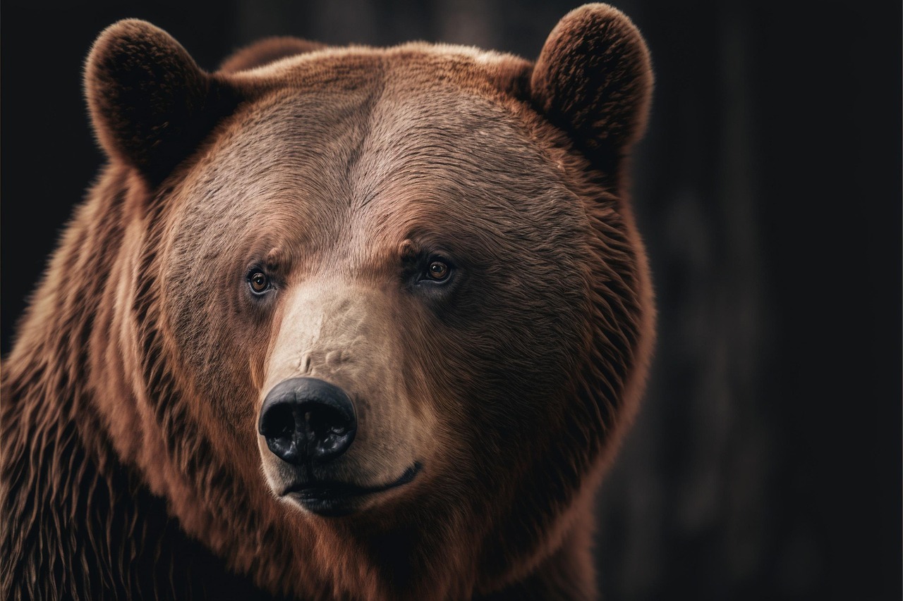 Realistic Close-Up Portrait of a Brown Bear