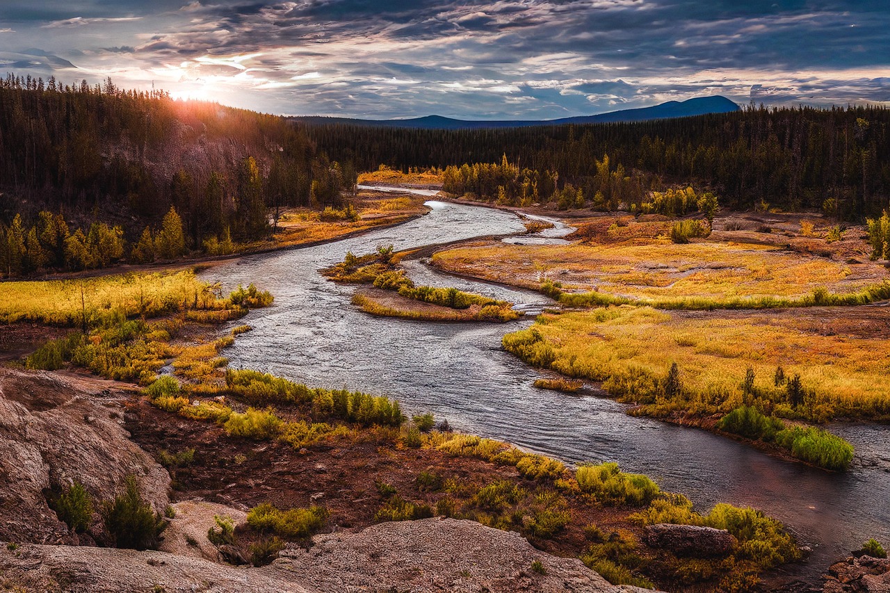 Serene Autumn River at Sunset in Forested Landscape