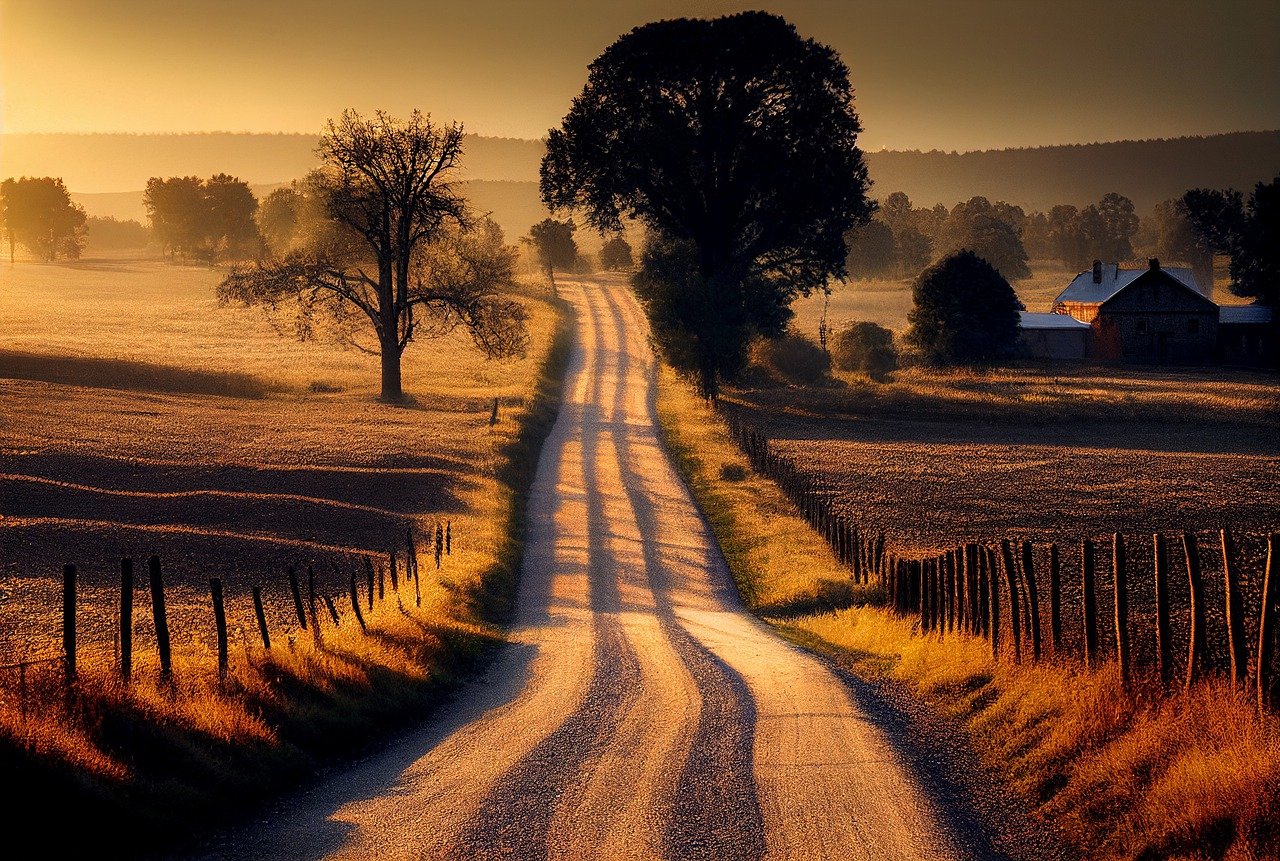 Sunlit Rural Road Through Farm Fields at Sunset