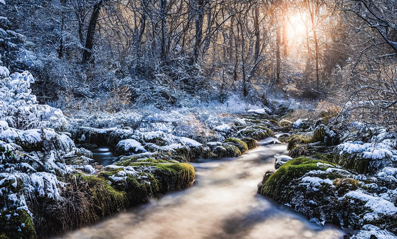 Winter Forest Stream with Snow-Covered Mossy Rocks