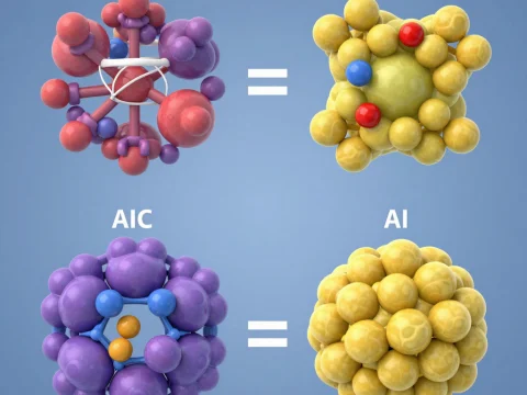 3D Molecular Models of MHC I and AIC Complexes