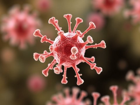 3D Render of a Virus Particle Close-Up