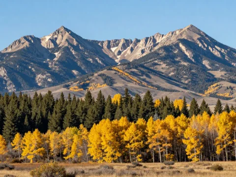 Autumn Landscape with Mountains and Golden Trees in Bozeman, Montana