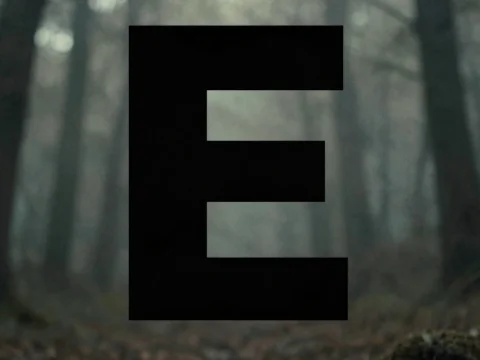 Bold Letter E Overlay on Misty Forest Path