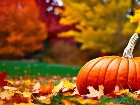 Bright Orange Pumpkin Amidst Colorful Autumn Leaves