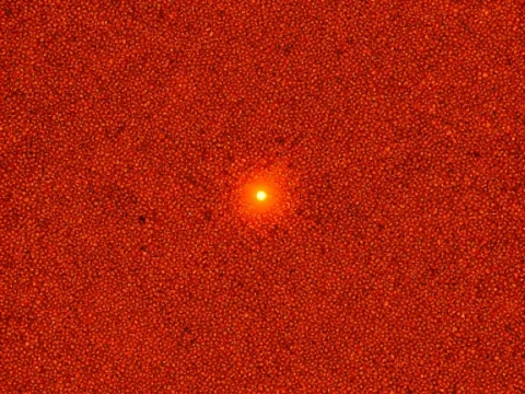 Bright Sparkle in Dense Warm Red Texture