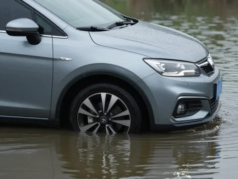 Car Partially Submerged in Flooded Water