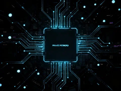 Cyberpunk Digital Circuit with Private Password Core