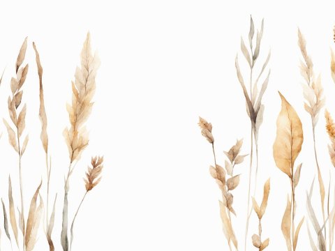 Delicate Watercolor Dried Plants on White Background
