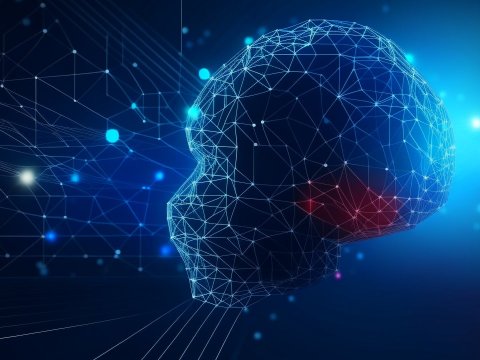 Digital Wireframe Human Head with Neural Network Connections