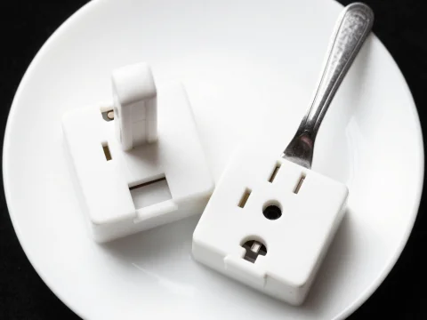 Electric Plug Adapters on White Plate with Fork