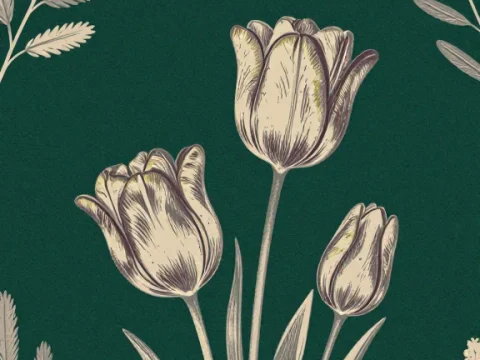 Elegant Botanical Tulip Illustration on Dark Green