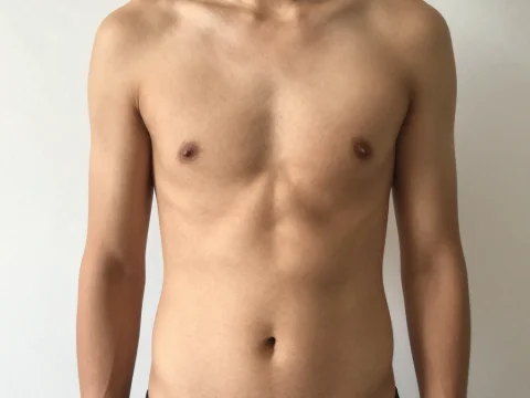 Front View of a Shirtless Male Torso