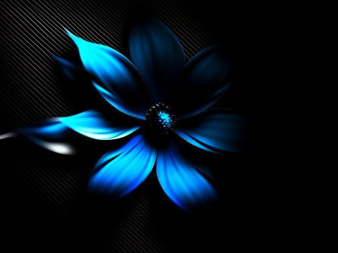 Glowing Blue Flower on Black Background