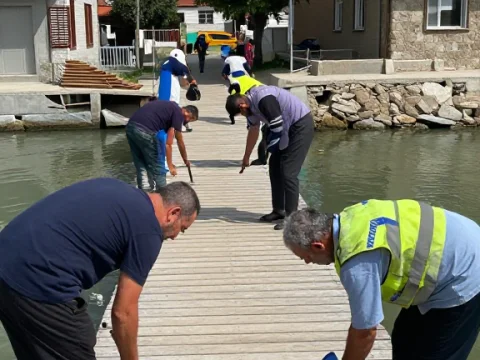 Group of Workers Cleaning a Wooden Dock by the Water