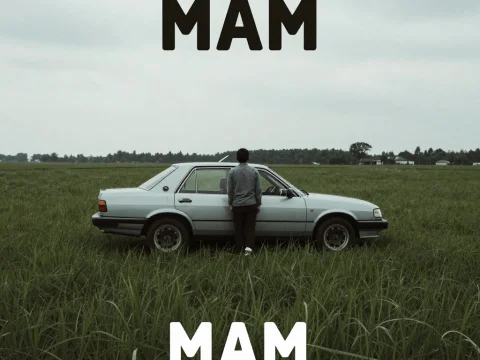 Man Standing Beside Car in Vast Green Field