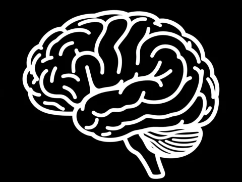 Minimalist Brain Outline on Black Background