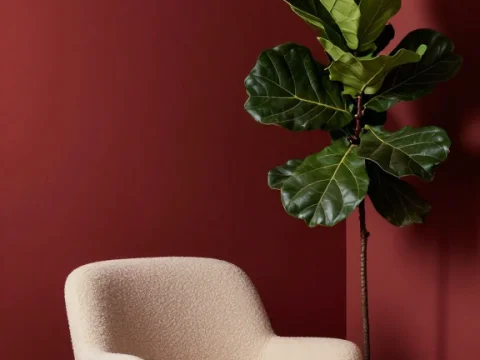 Minimalist Cream Armchair with Green Plant Against Crimson Wall