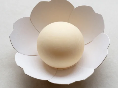 Minimalist Petal-Shaped Soap Box with Round Soap