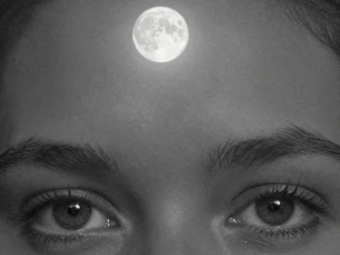 Moonlit Eyes in Black and White
