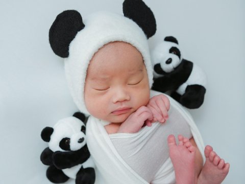 Newborn Baby in Panda Hat with Plush Toys