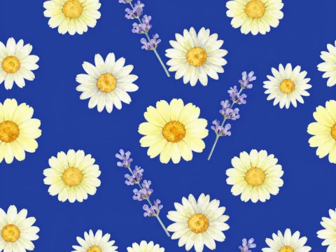 Pastel Daisies and Lavender on Deep Blue Background