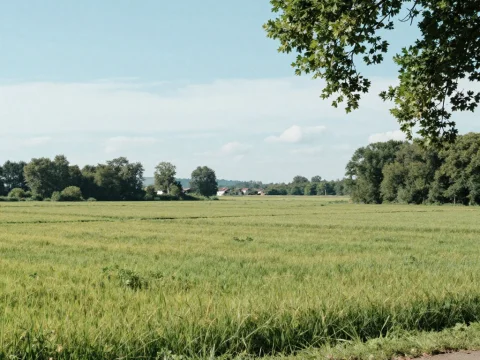 Peaceful Rural Landscape with Green Fields and Trees
