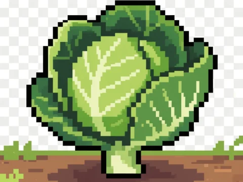 Pixel Art Cabbage Growing in Soil