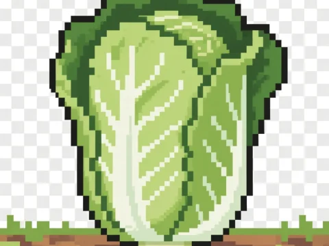 Pixel Art Napa Cabbage on Soil