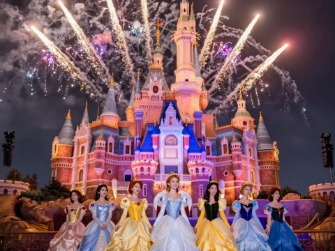 Princesses in Front of Castle with Fireworks at Night