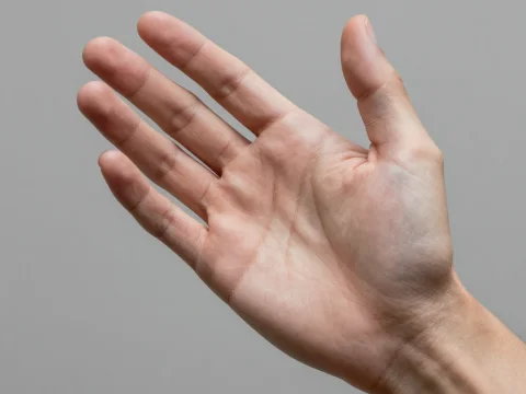 Realistic Close-Up of an Open Human Hand