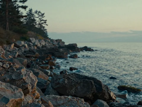 Rocky Coastline on a Calm Spring Morning