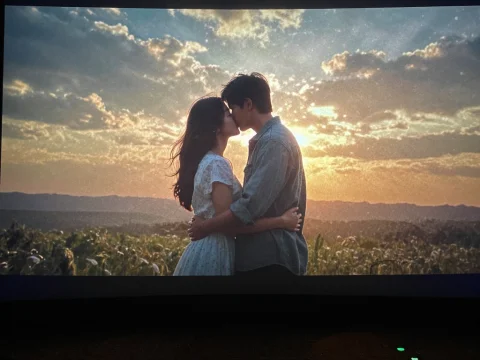 Romantic Couple Kissing at Sunset in a Field