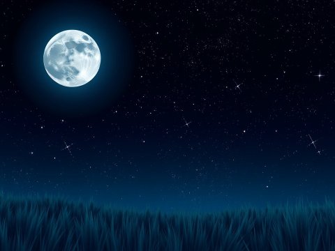 Serene Moonlit Night Over Grass Field