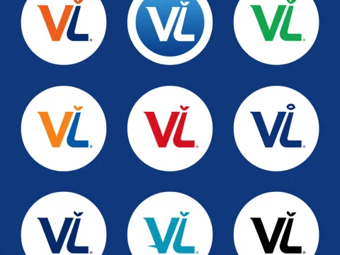 Set of 9 Unique Vinh Long Logo Variations