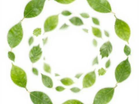 Spiral of Flying Green Leaves on White Background