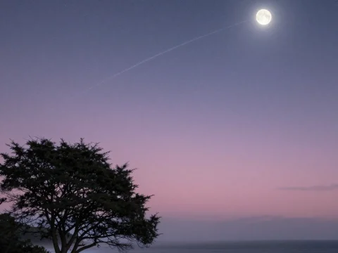 Starlit Norfolk Coast with Full Moon at Twilight