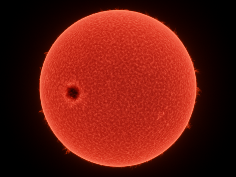 Strawberry Sun Macro Astrophotography