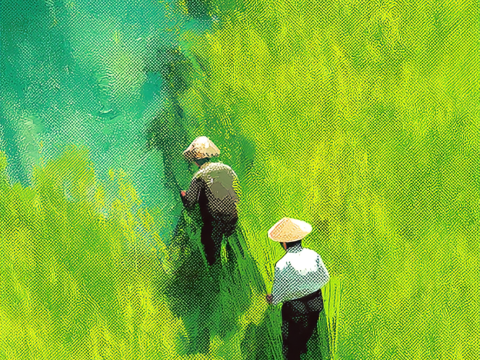 Top View of Farmers Working in Lush Green Fields