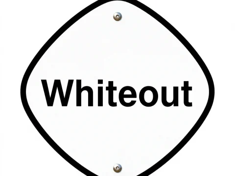 Whiteout Road Warning Sign