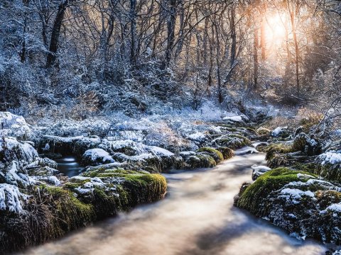 Winter Forest Stream with Snow-Covered Mossy Rocks