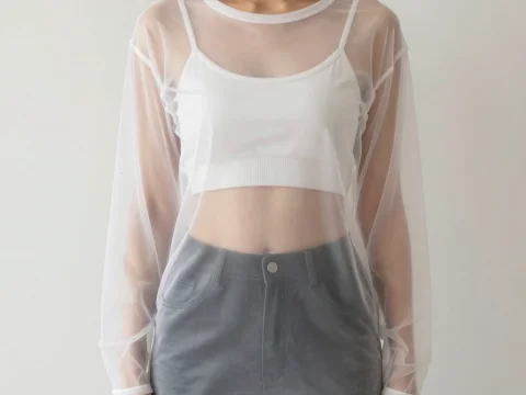 Woman Wearing Sheer Transparent Long Sleeve Top